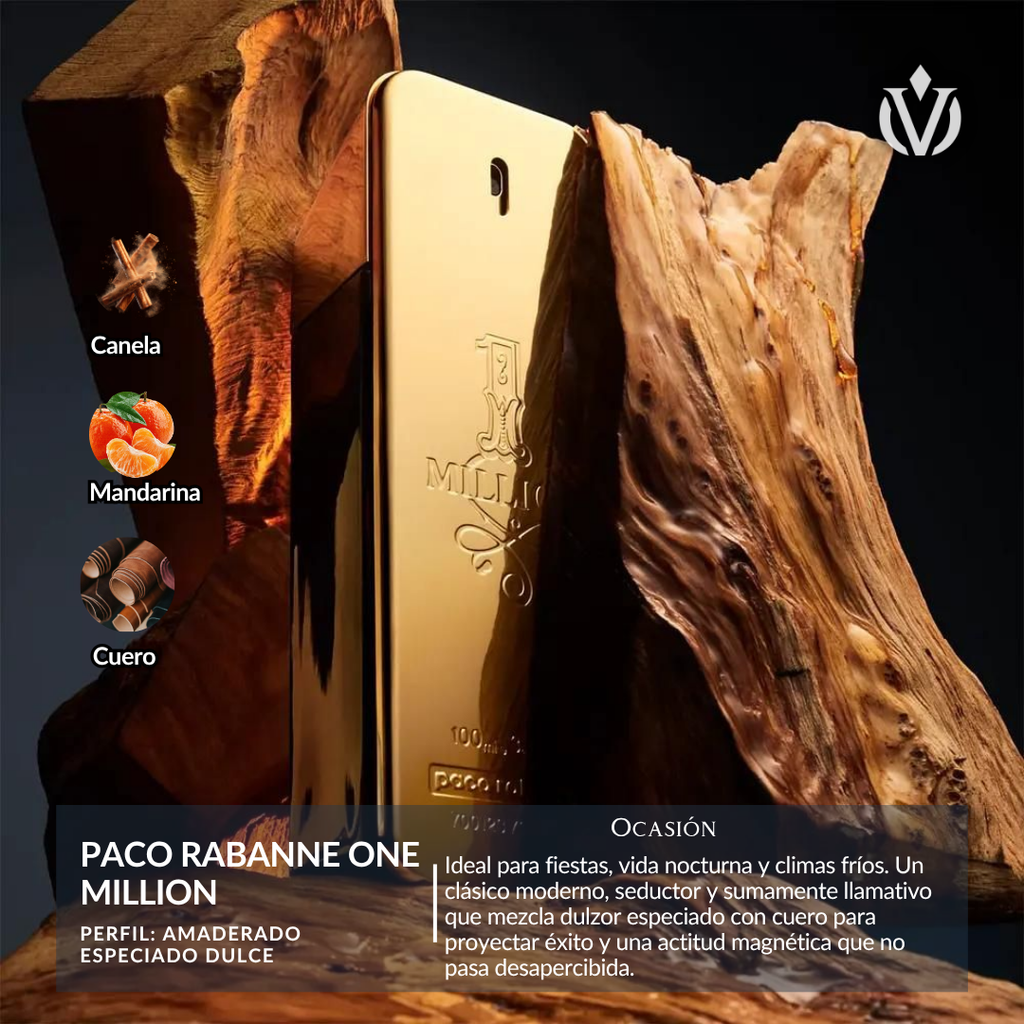 TOP Diseñador VIP (hombre)