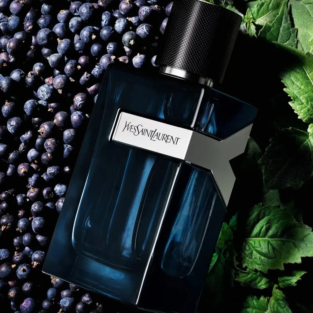 YSL Y Intense EDP