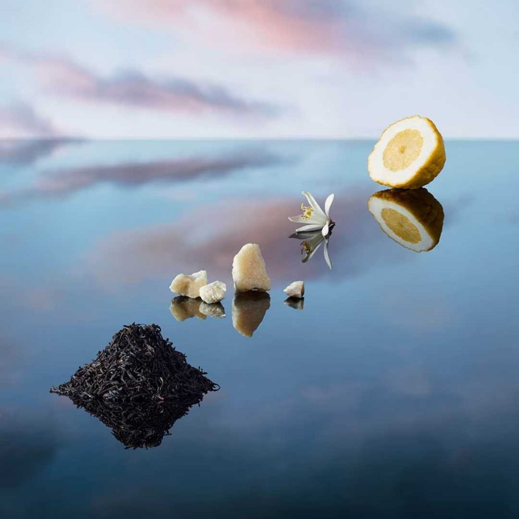 Louis Vuitton Imagination