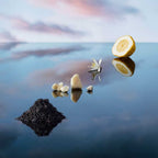 Louis Vuitton Imagination