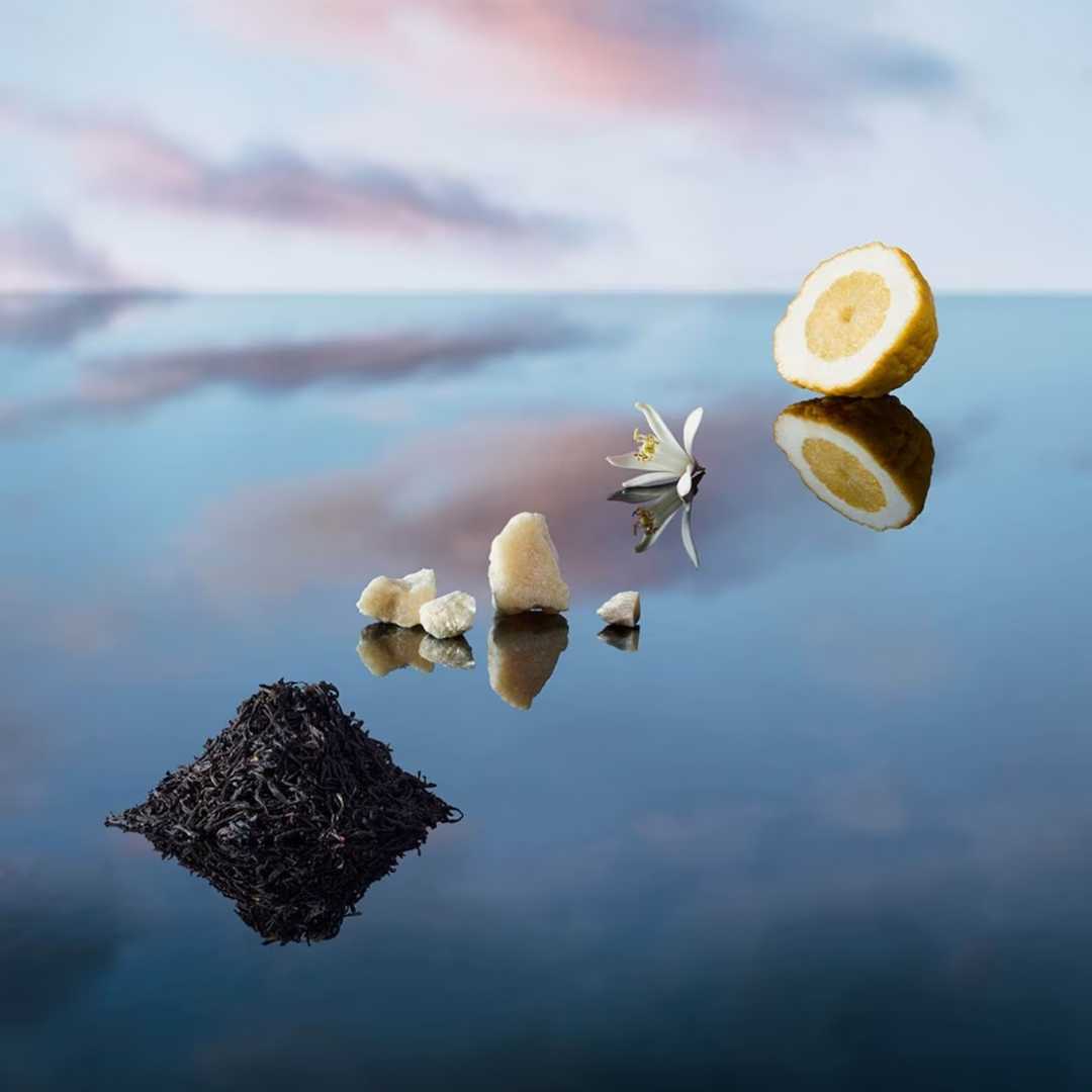 Louis Vuitton Imagination