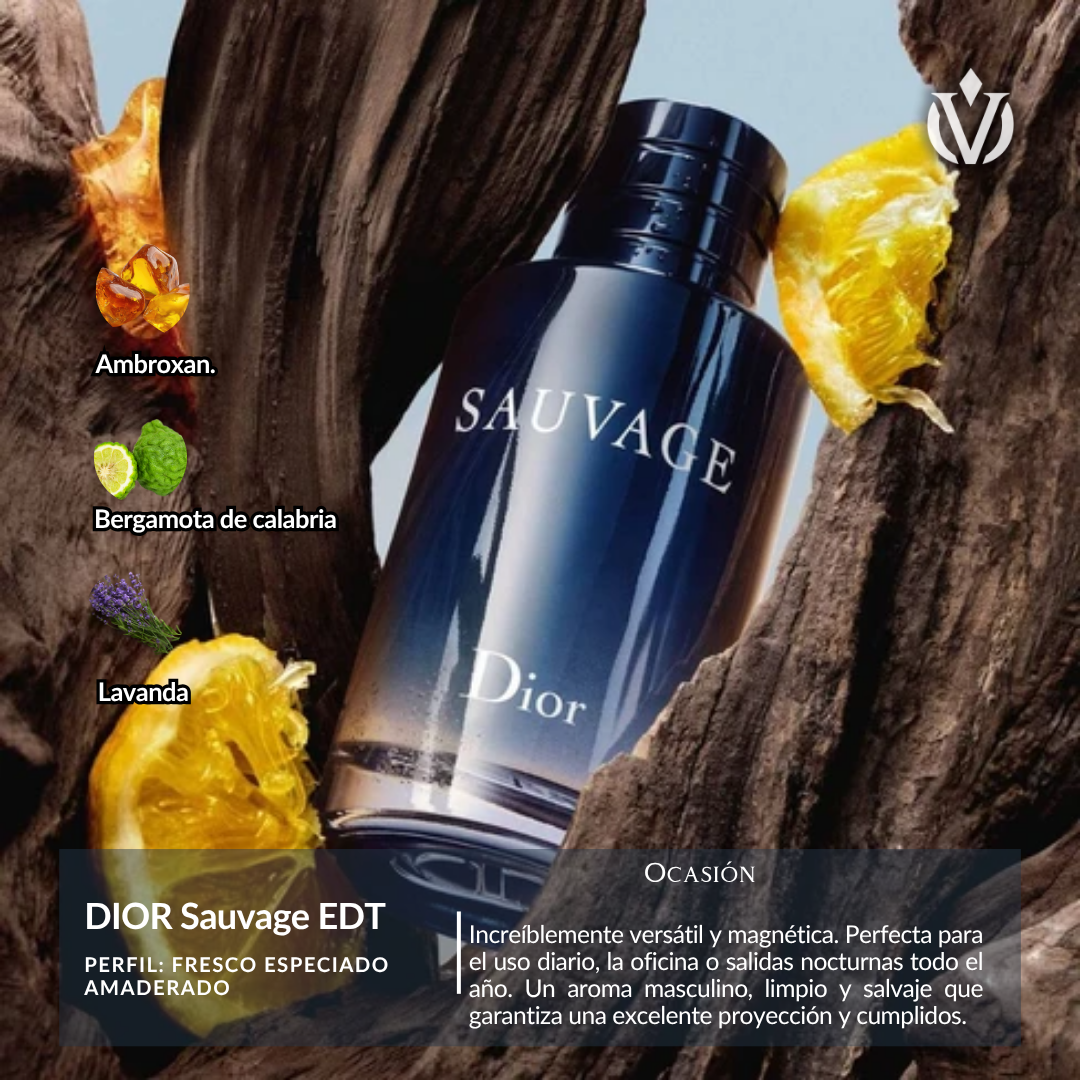 TOP Diseñador VIP (hombre)