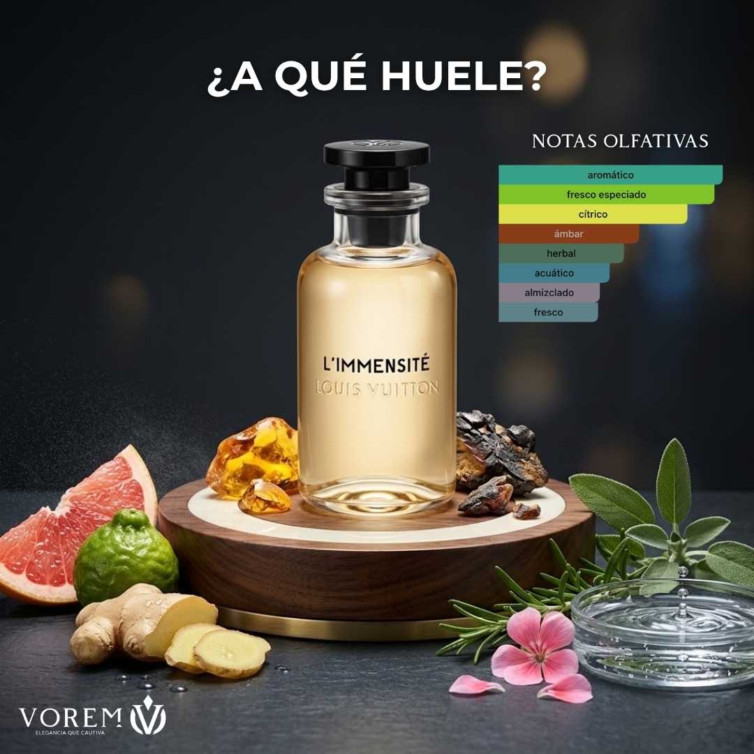 Louis Vuitton L'immensité
