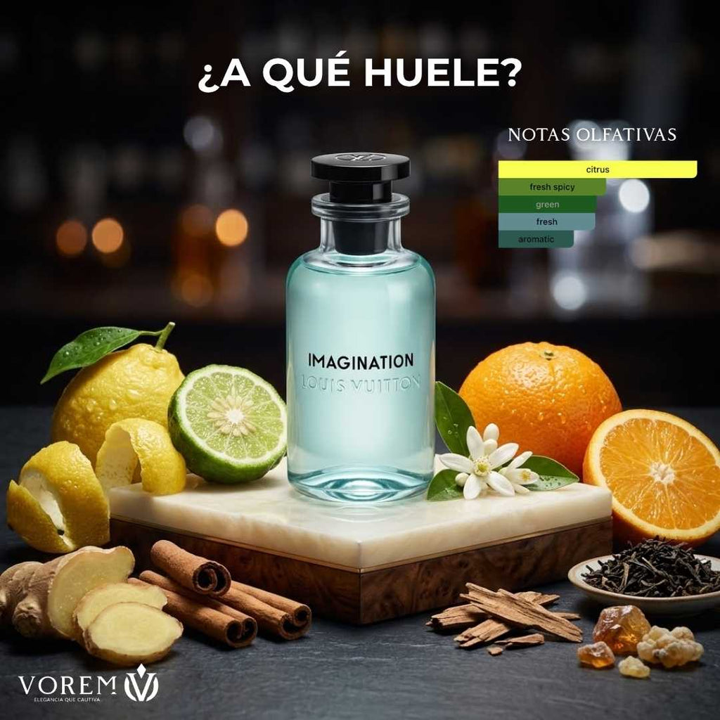 Louis Vuitton Imagination