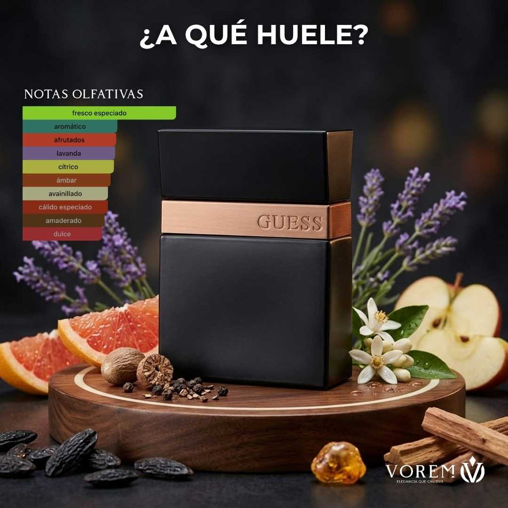 Guess Seductive Homme Noir