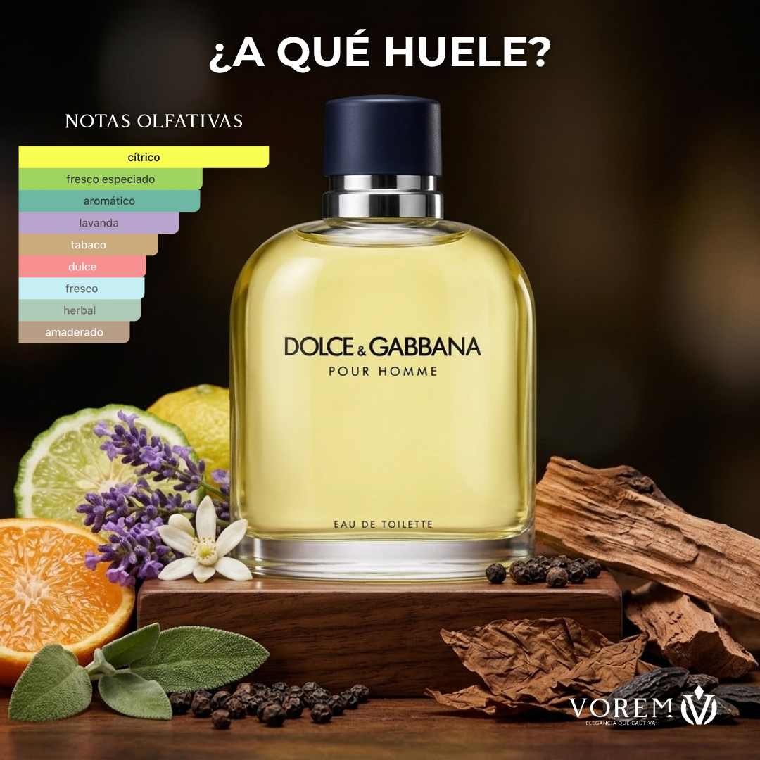 D&G Pour Homme