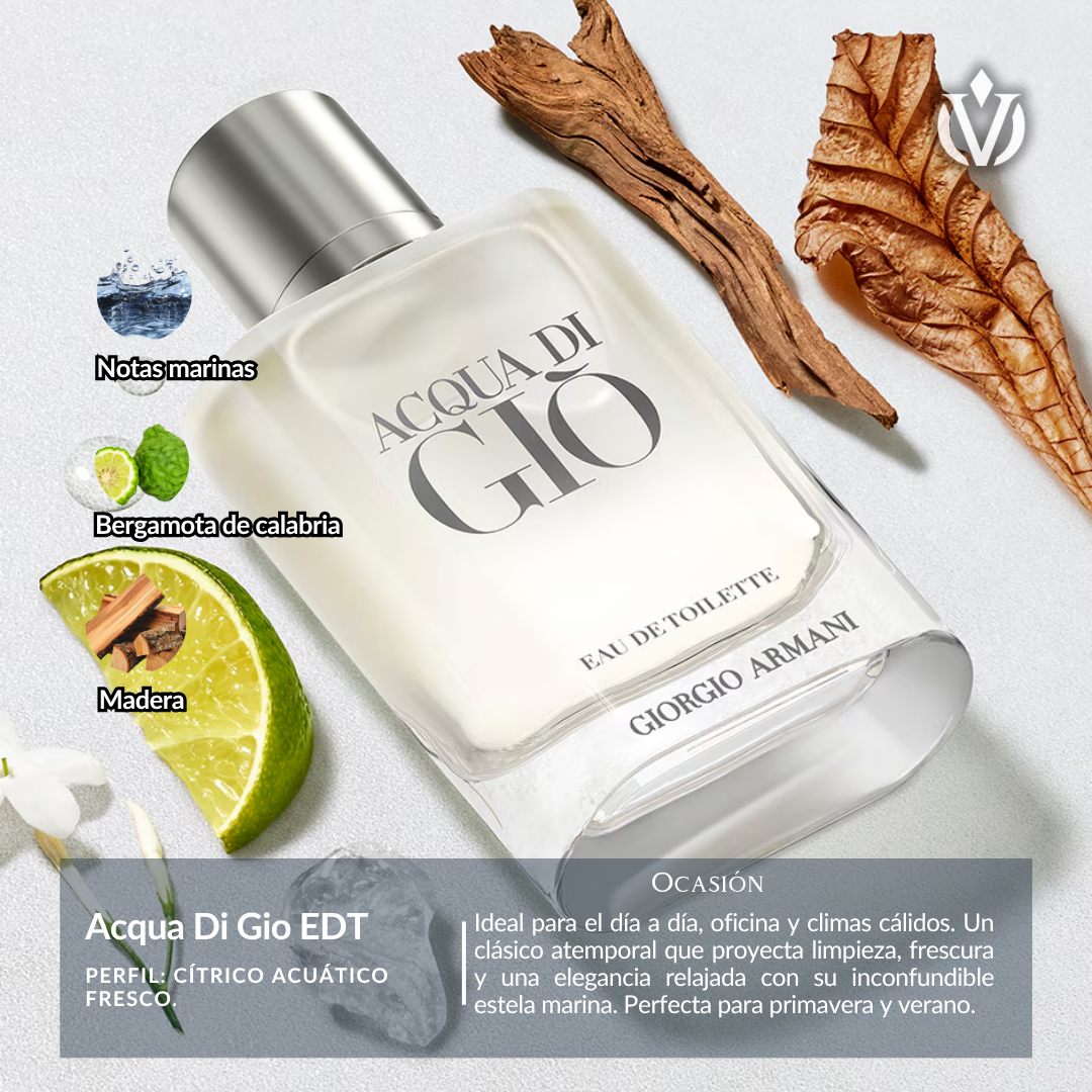 TOP Diseñador VIP (hombre)