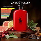 Ralph Lauren - Polo Red EDT