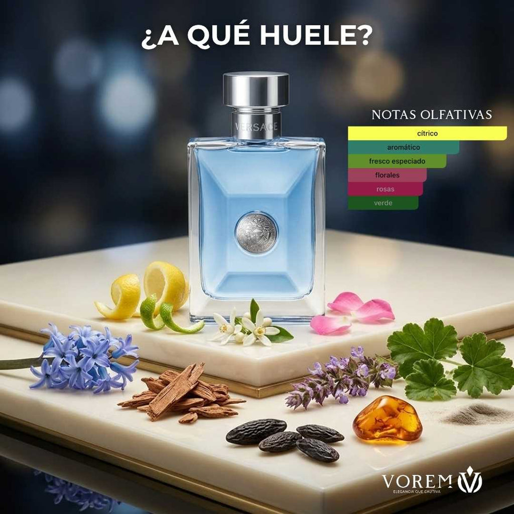 Versace Pour Homme Eau de Toilette