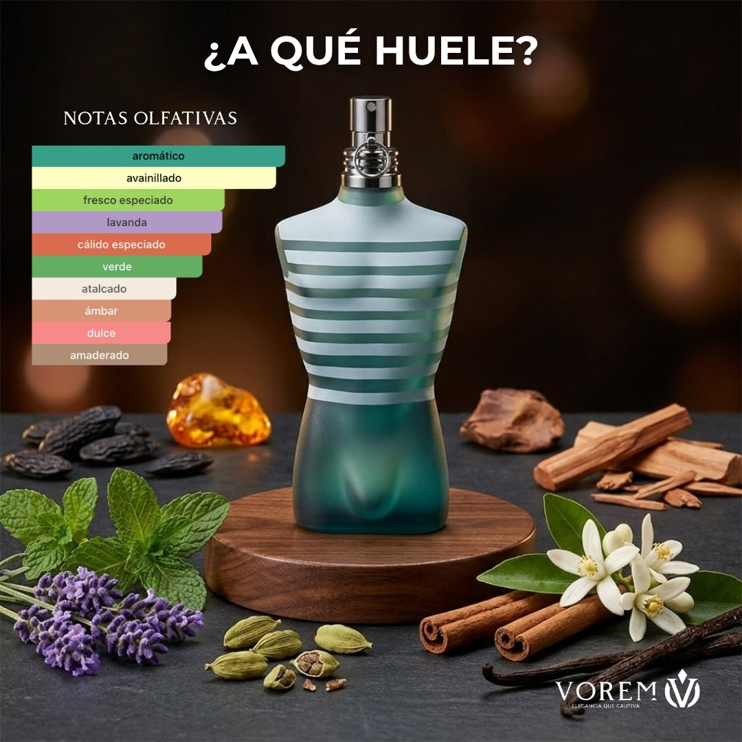 Jean Paul Gaultier - Le male EDT