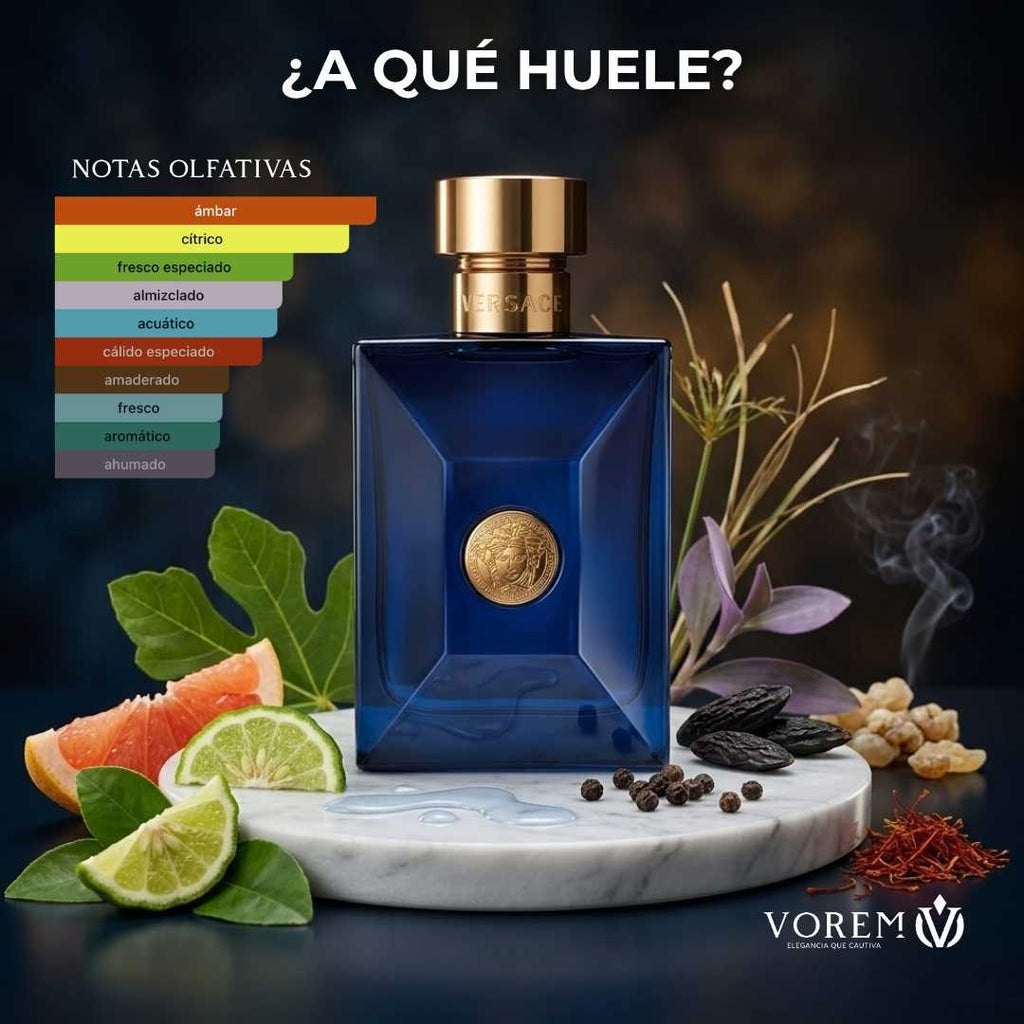 Versace Dylan Blue