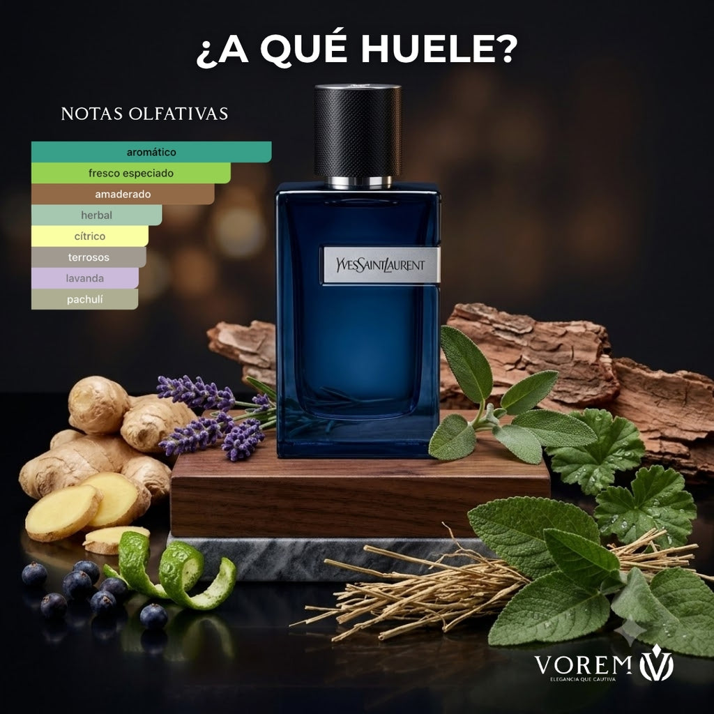 YSL Y Intense EDP