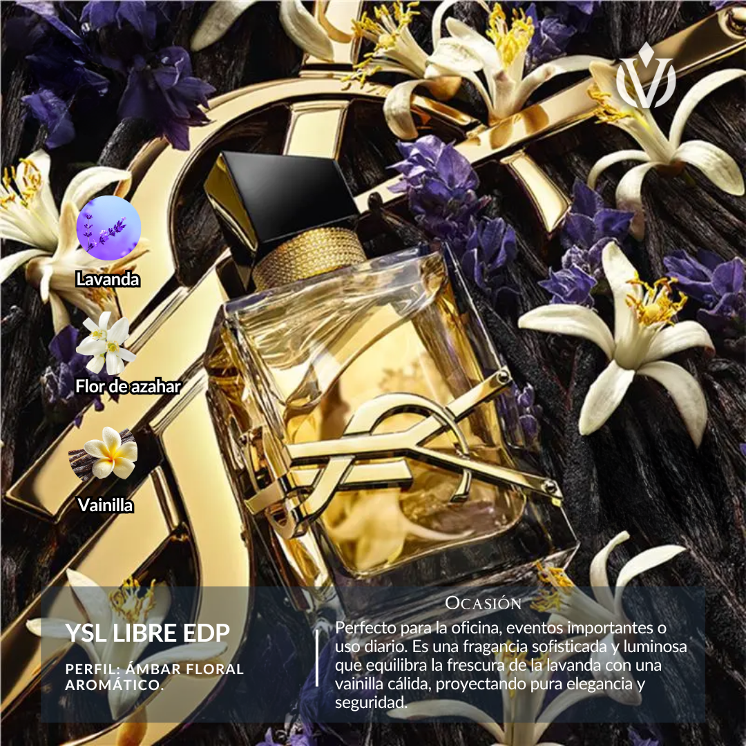 Set clásicos diseñador (Dama)👠