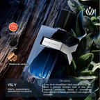 TOP Diseñador VIP (hombre)