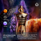 TOP Diseñador VIP (hombre)