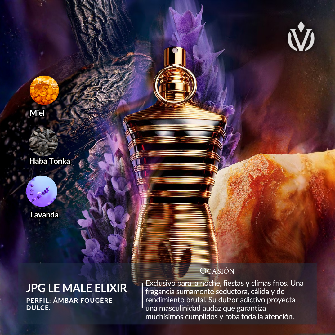 TOP Diseñador VIP (hombre)